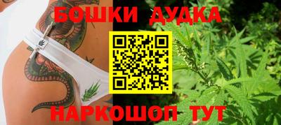 гидропоника Тверь